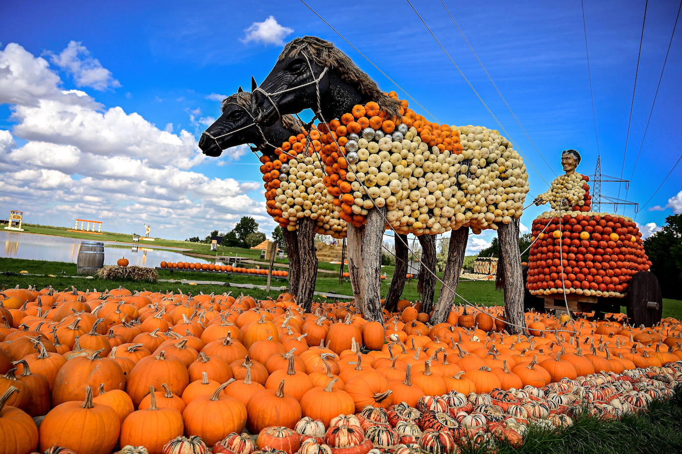 El boom del consumo de calabazas en octubre: tradiciones globales