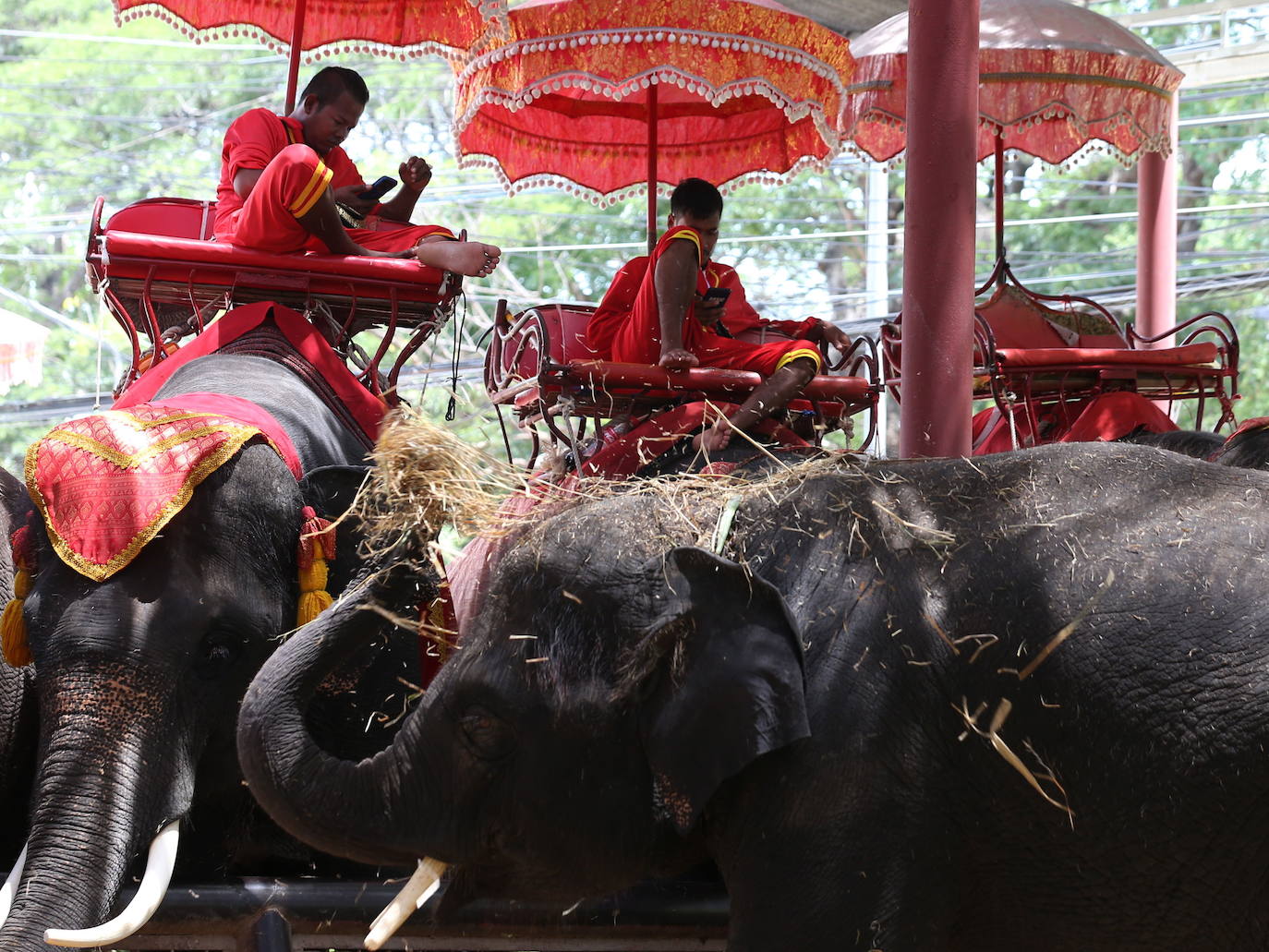 Esperando a los turistas