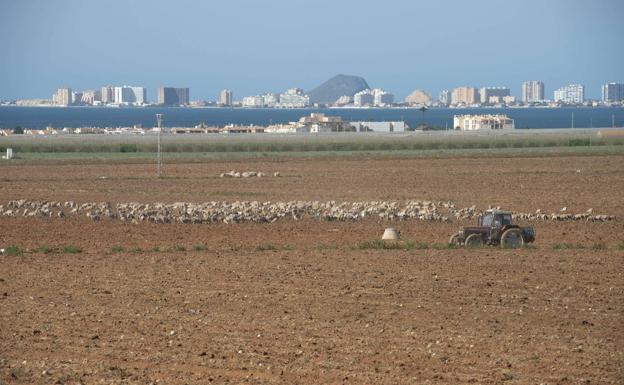 El aumento de la vigilancia en el Mar Menor aflora más regadíos y desalobradoras ilegales