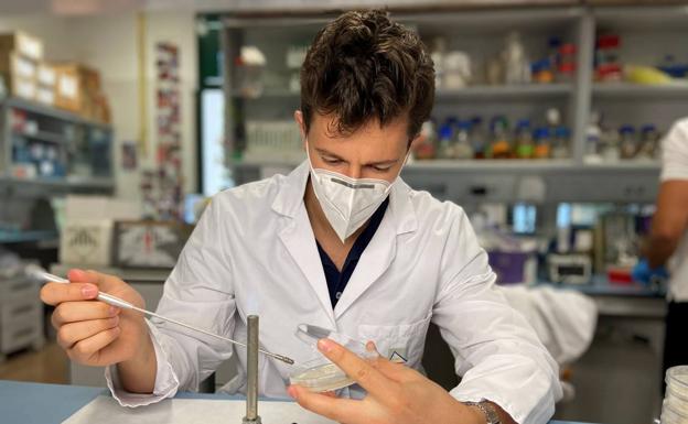 Hidrogea impulsa una investigación para estudiar los virus y bacterias en redes de agua potable