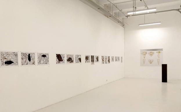 El Centro Párraga acoge una muestra de Fernando Vázquez sobre naturalezas muertas