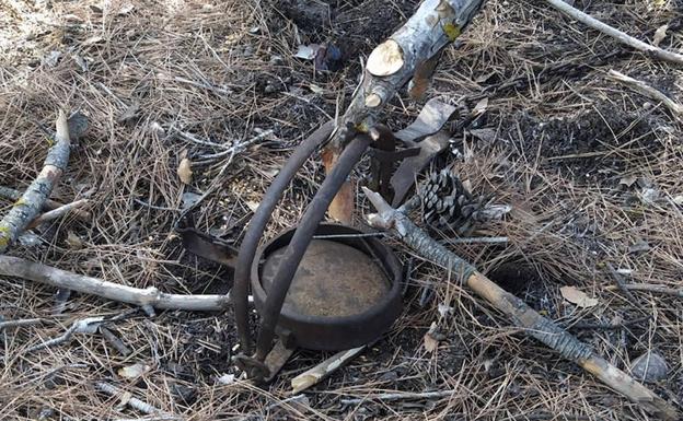 Investigan a dos vecinos de Ricote por colocar un cepo en un coto de caza que hirió a un perro y su dueña