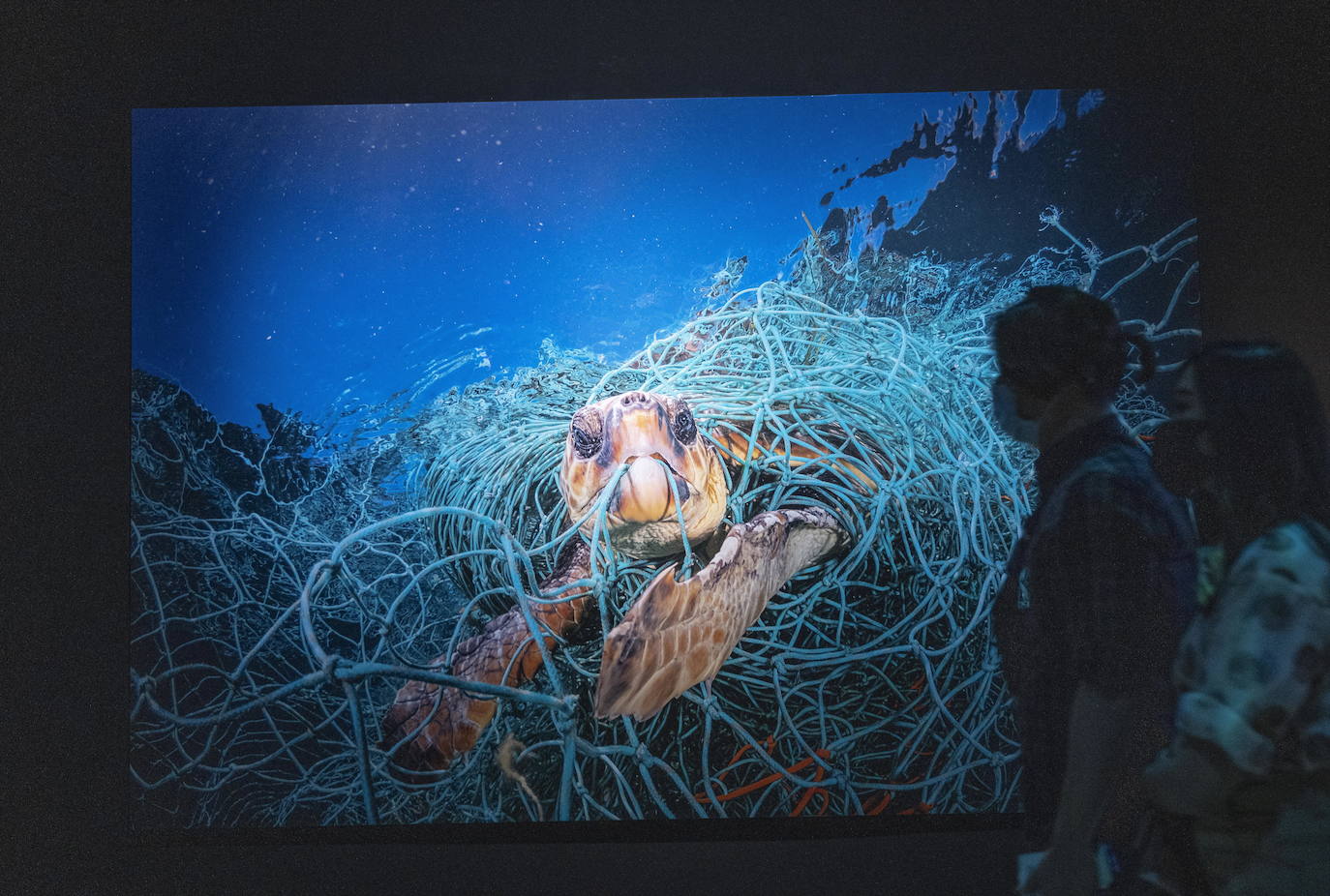 '¿Planeta o plástico?'