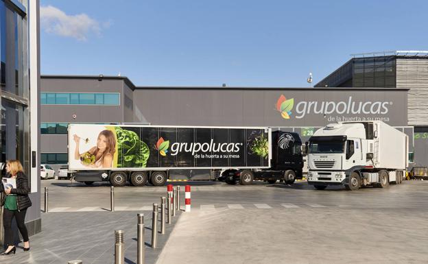 Grupo Lucas, la excelencia del campo a la mesa