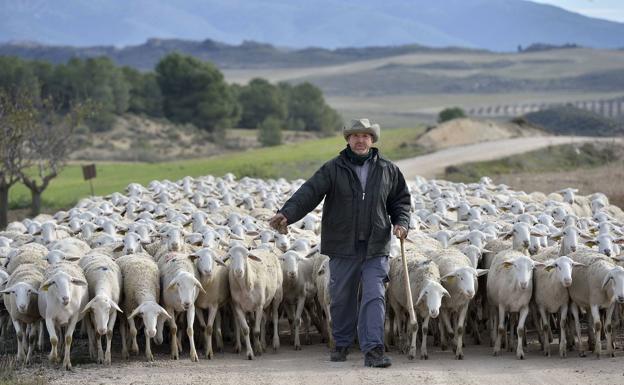 El CES considera «incomprensible» que la Red Natura siga sin Comités de Participación