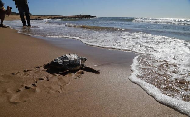 El océano comienza en Calblanque