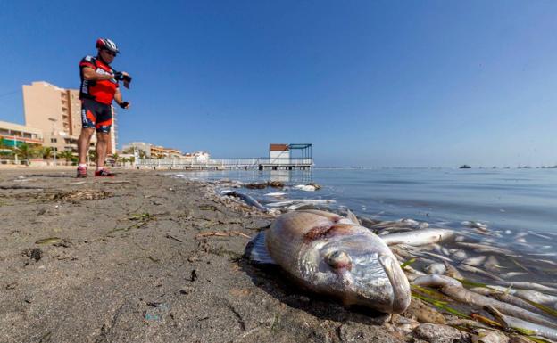 La Asamblea rechaza tramitar la ley que daría derechos al Mar Menor