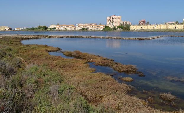 Las Salinas de Marchamalo recuperarán la actividad con un centro de interpretación