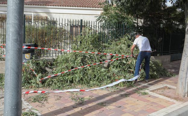 Lorca, segundo municipio más afectado por la borrasca por detrás de Murcia