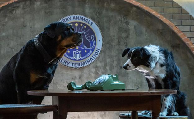 'Como perros y gatos' y 'El arco mágico', doble programa familiar