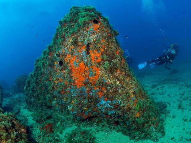 La Consejería intentará aprobar en un año la Reserva Marina de Cabo Cope