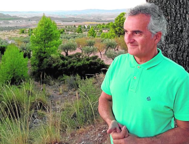 Emilio Rico: «El olivar centenario funciona muy bien como cultivo»