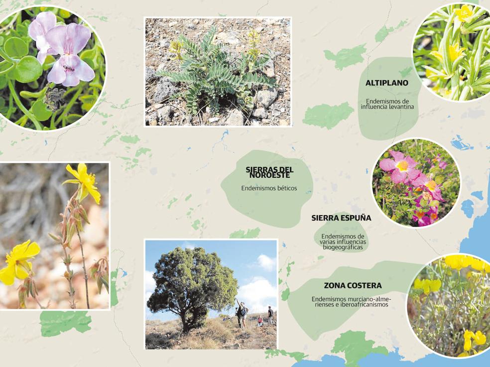 El rincón más rico en especies de Europa