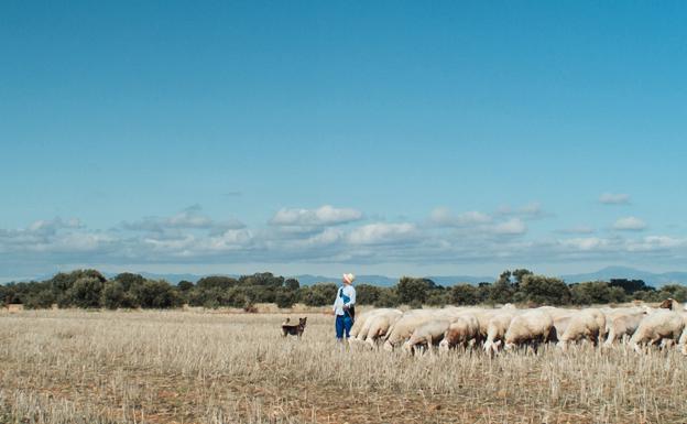 'Meseta', rural y sensorial