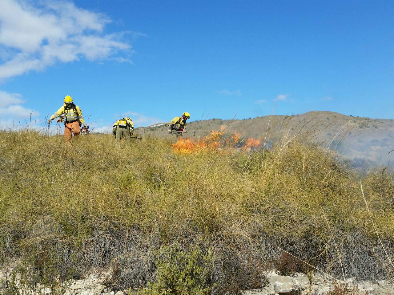 Extinguido el incendio forestal en la Sierra del Molar, en Jumilla | La  Verdad