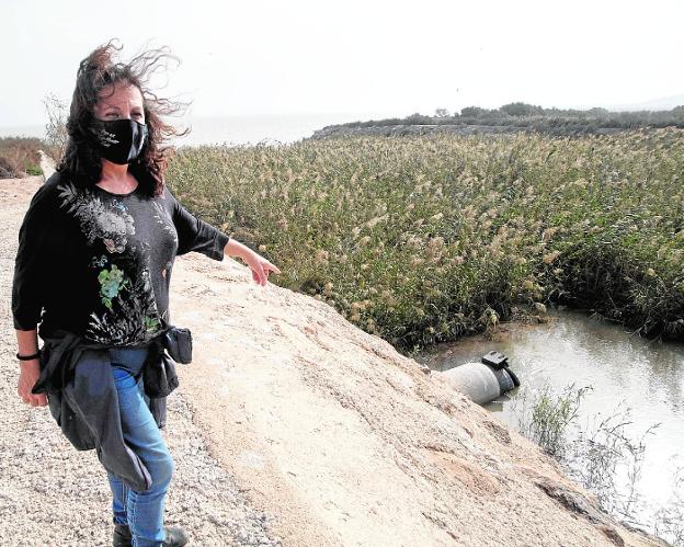 Tierra de nadie, excepto para el IBI