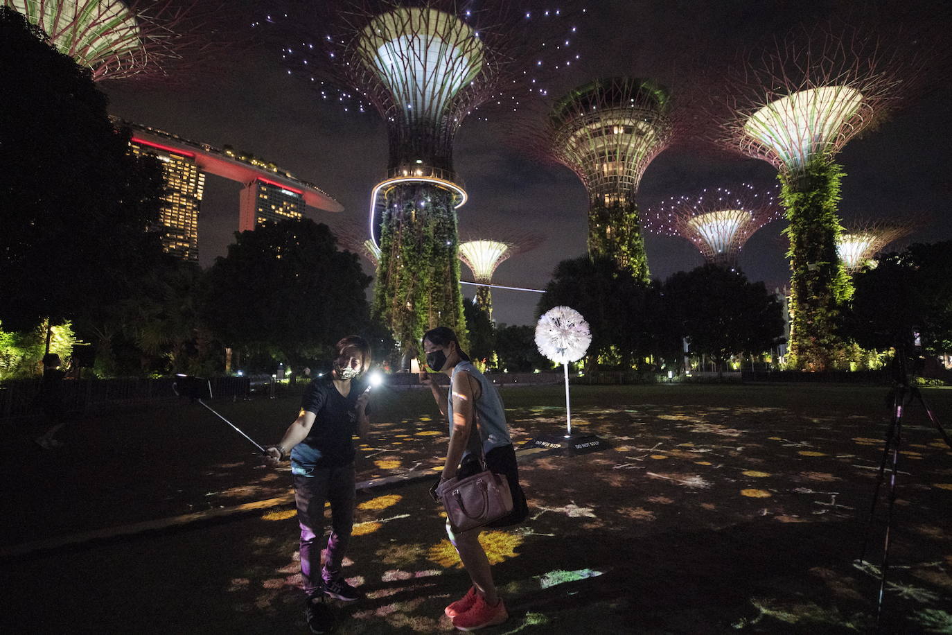 Conectados por un diente de león