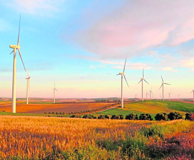 Las grandes empresas 'se ponen verdes'