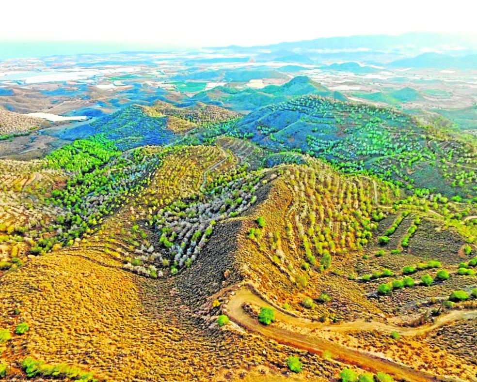 El banco de aire limpio