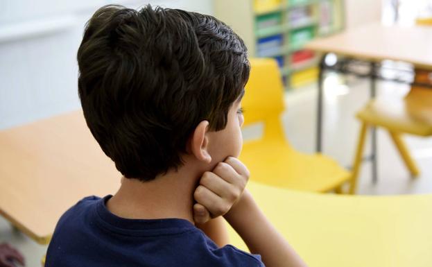 Plena Inclusión denuncia el «uso partidista» del alumnado discapacitado intelectual