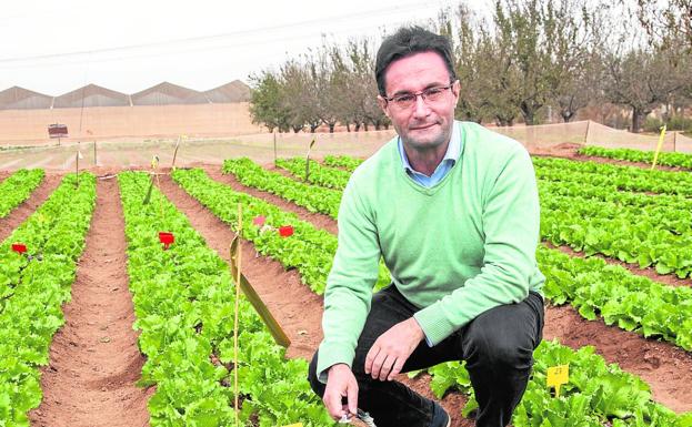«Los agricultores apuestan por cultivos sostenibles, no hay que demonizarlos»
