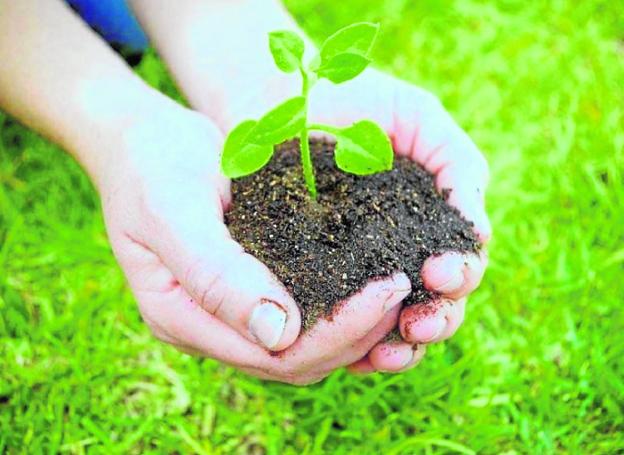 Compost para mejorar el medio ambienteen la agricultura