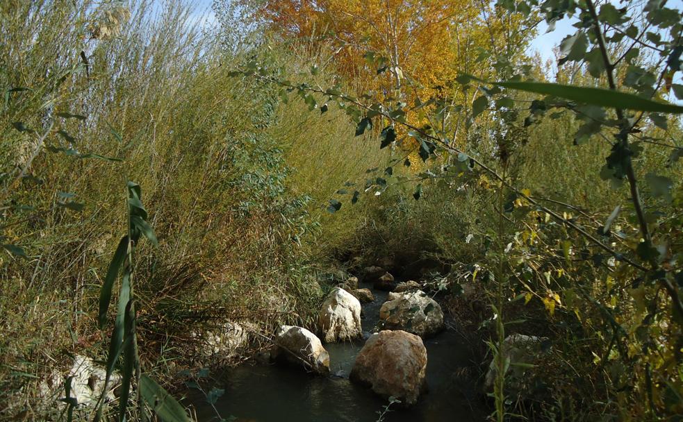 'Agua embotellada' para mejorar el río Segura