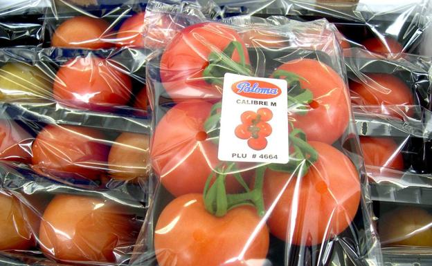 «Preocupación» de los exportadores por la llegada de un 'Brexit' sin acuerdo