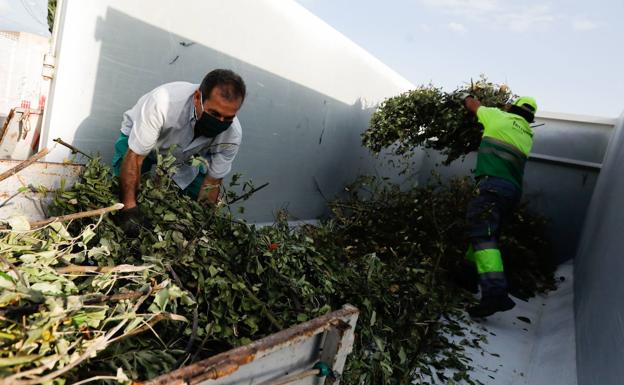 El Ayuntamiento de Murcia y Asaja acuerdan que las máquinas que trituran podas agrícolas lleguen a más fincas