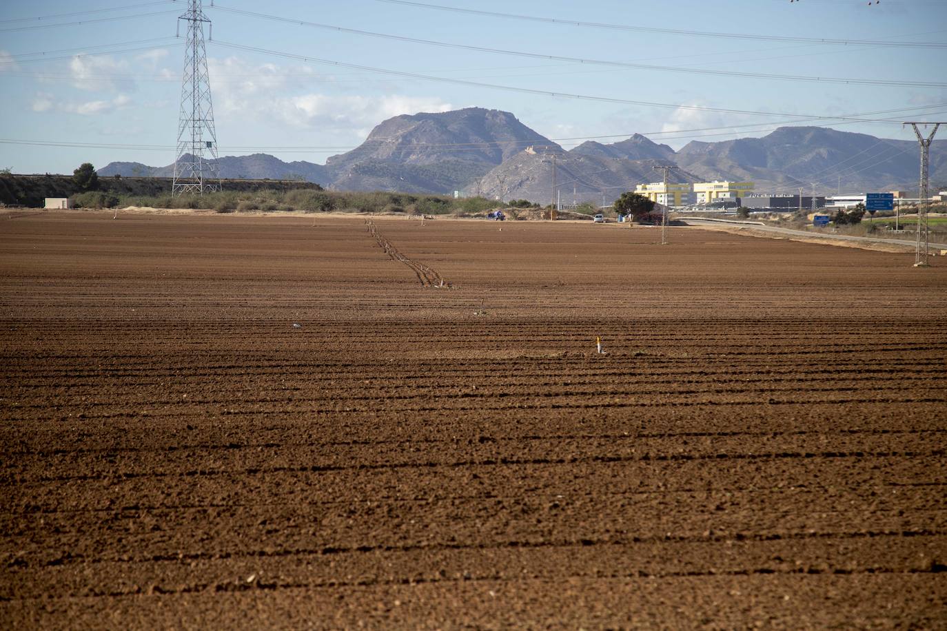 Jornada tranquila y de normalidad en el campo de Cartagena
