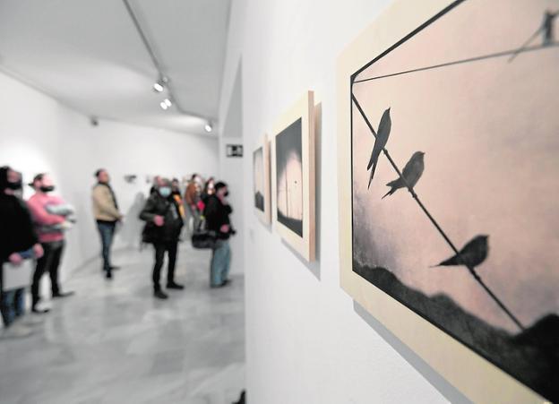 La UMU expone las obras galardonadas y seleccionadas del XIX Premio de Fotografía