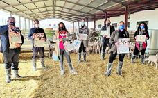 Calendario solidario de los ganaderos