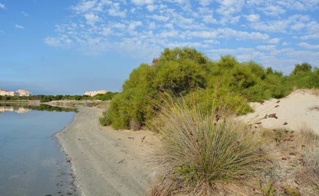 El Ministerio permite a ANSE que restaure la Caleta del Estacio