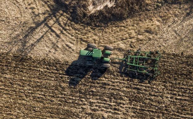 Bankia Forward by Innsai analiza las estrategias de innovación para ayudar a las empresas del sector agro