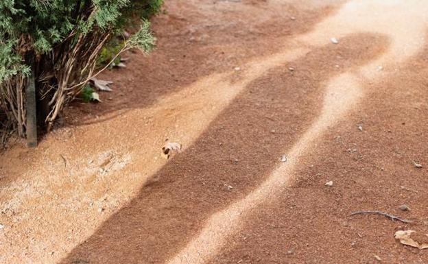 «La cárcel me ha hecho más daño que la droga»