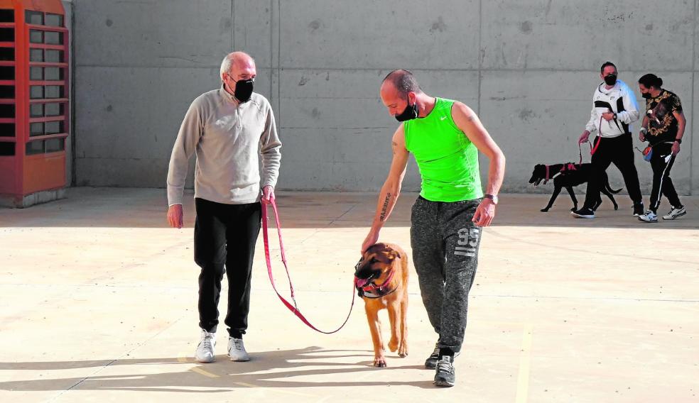 Animales y personas, un binomio de ayuda mutua