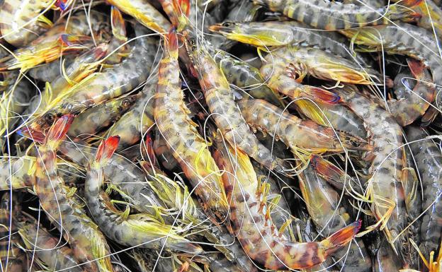 Tierra y mar se fusionan en las comarcas de Cartagena y Mar Menor