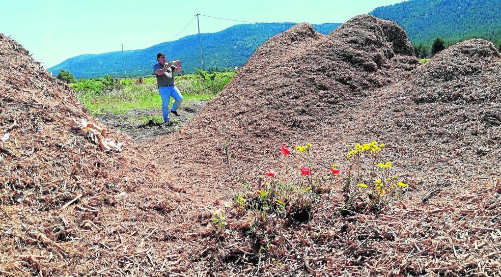 El sarmiento busca una nueva vida para escapar del fuego