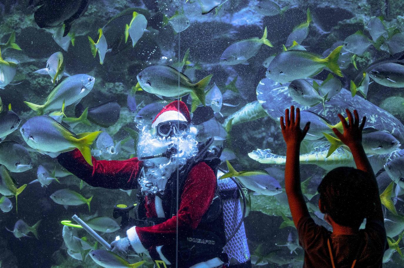 Santa Claus visita el acuario