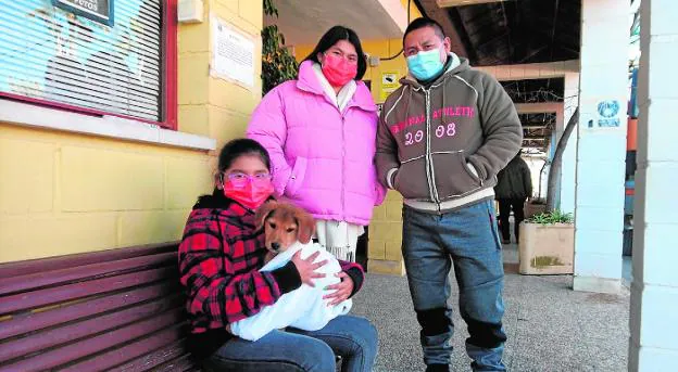 Colas en el Centro Municipal de Zoonosis de Murcia para adoptar cachorros
