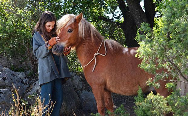 'Mi amigo pony': una historia de amistad