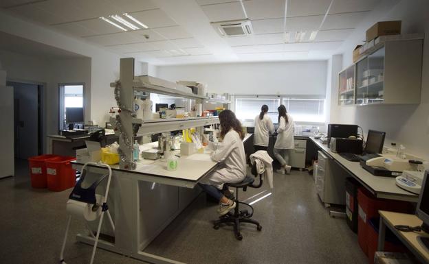 La Región de Murcia tendrá nuevos laboratorios para investigar contra el coronavirus