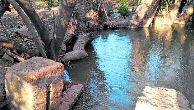 Reclaman la adecuación como paraje de interés de la acequia de Benetúcer en Llano de Brujas