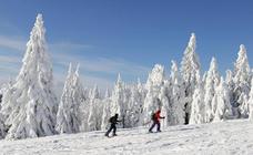 Nieve y sol en la Selva Negra