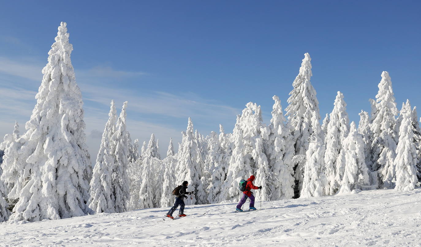 Nieve y sol en la Selva Negra