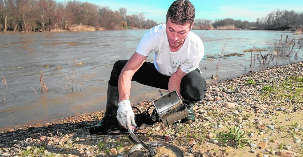 La 'basuraleza', nueva especie en estudio