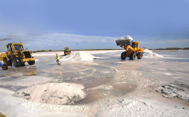 Las Salinas de San Pedro del Pinatar venden un 50% más de sal a causa de 'Filomena'