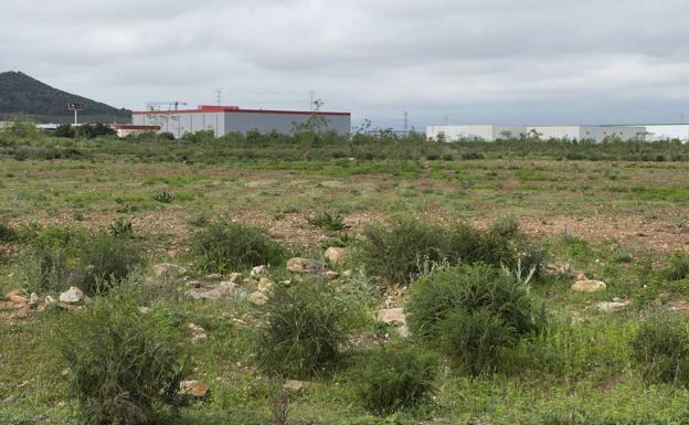 Vox propone ofrecer la ZAL de Los Camachos para un nuevo centro logístico del Ejército