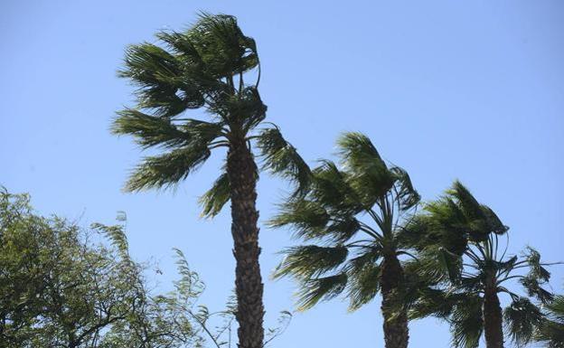 Un temporal de viento aterrizará el viernes en la Región con rachas de hasta 80 km/h