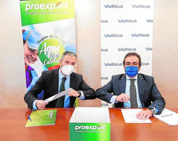 Aethicus dará asistencia jurídica en Derecho Inmobiliario a Proexport